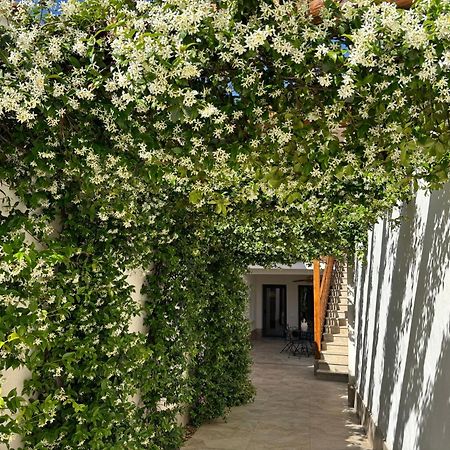 El Patio De Los Jazmines Boutique-House Consuegra Ngoại thất bức ảnh